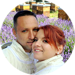 Aleksei and Anastasiia