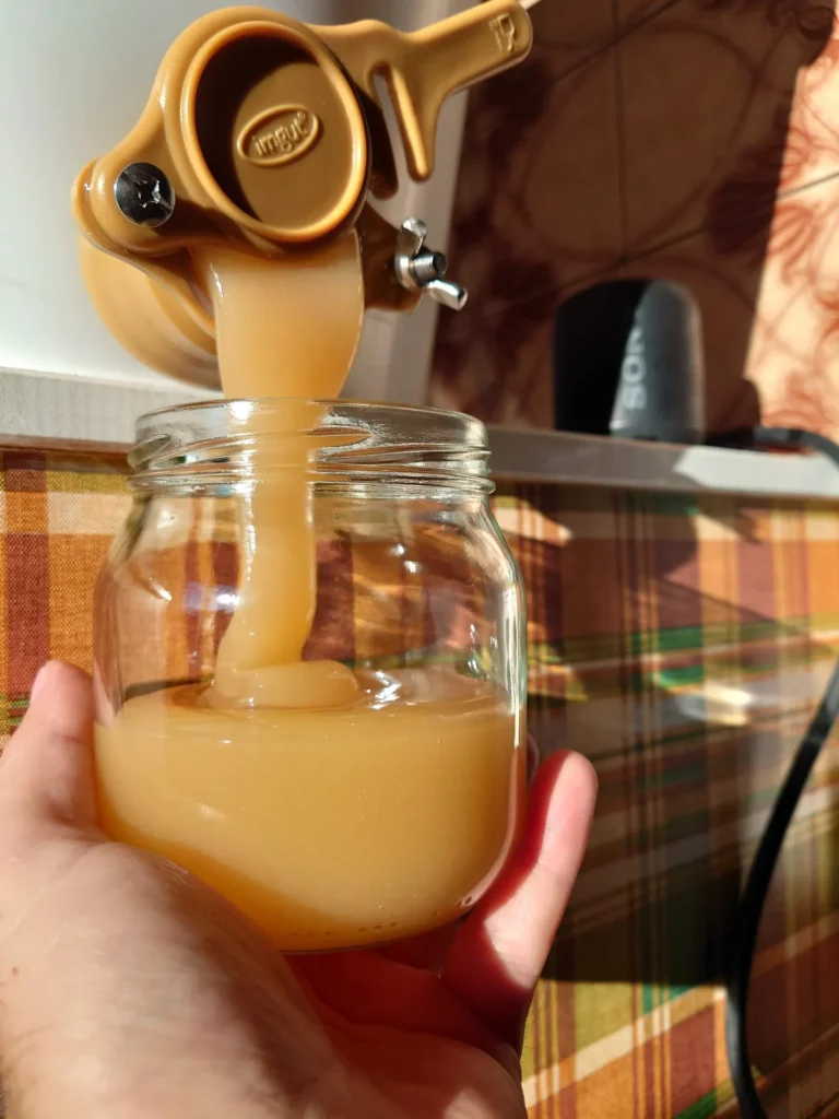 Krämig honung tappas från honungstapp i glasburk