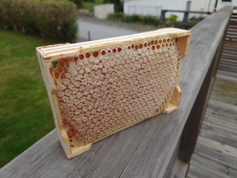 8 Comb honey in a mini frame